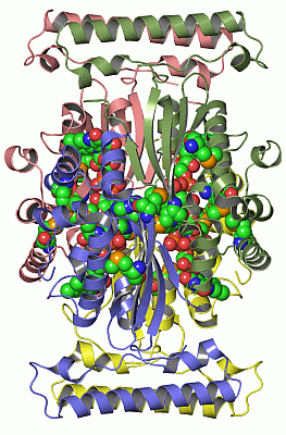 Image Asym./Biol. Unit - manually