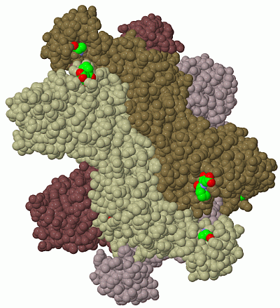 Image Biol.Unit 1 - manually