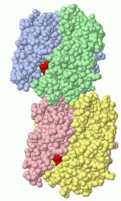 Image Asym.Unit - manually