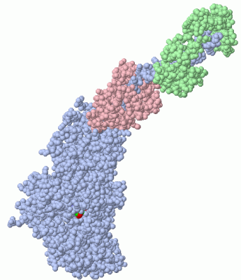 Image Asym./Biol. Unit - manually