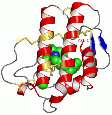 Image Asym./Biol. Unit - manually