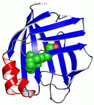 Image Asym./Biol. Unit - manually