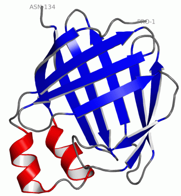 Image Asym./Biol. Unit - manually