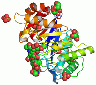 Image Asym./Biol. Unit - manually