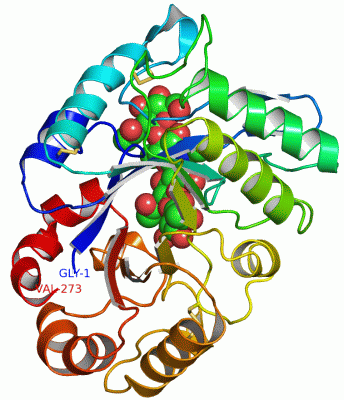 Image Asym./Biol. Unit - manually