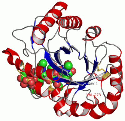 Image Asym./Biol. Unit - manually