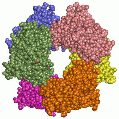 Image Asym./Biol. Unit - manually