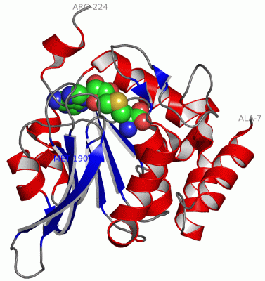 Image Asym./Biol. Unit - manually