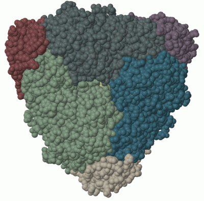 Image Biol.Unit 1 - manually