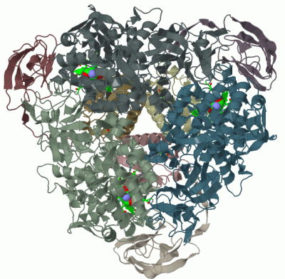 Image Biol.Unit 1 - manually