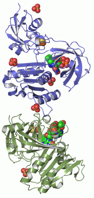 Image Asym.Unit - manually
