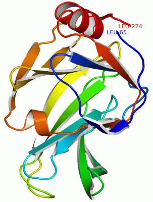 Image NMR Structure - manually