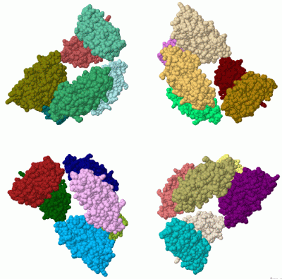 Image Biol.Unit 1 - manually