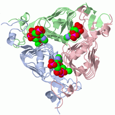 Image Asym./Biol. Unit - manually