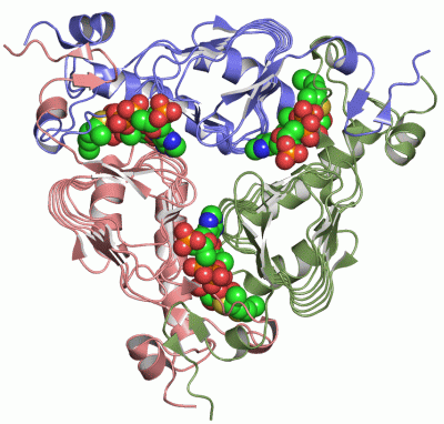 Image Asym./Biol. Unit - manually