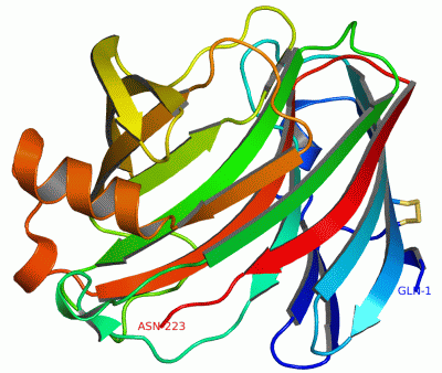 Image Asym./Biol. Unit - manually