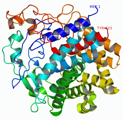 Image Asym./Biol. Unit - manually