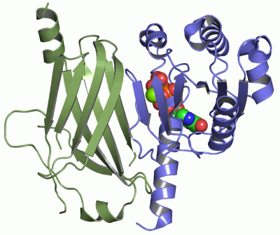 Image Asym./Biol. Unit - manually