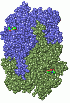 Image Asym./Biol. Unit - manually