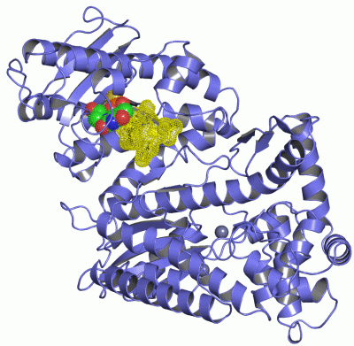 Image Asym./Biol. Unit - manually