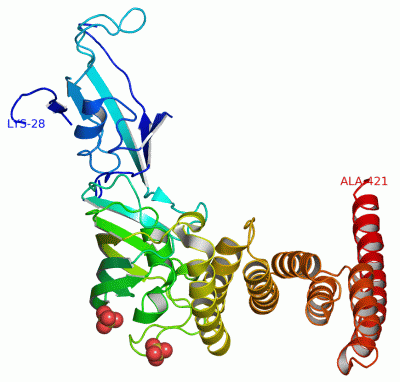 Image Asym./Biol. Unit - manually