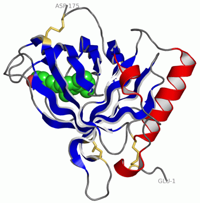 Image Asym./Biol. Unit - manually