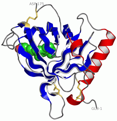 Image Asym./Biol. Unit - manually