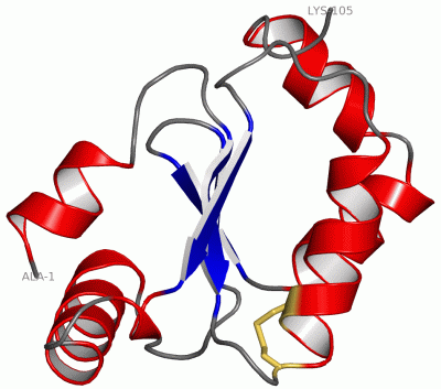 Image Asym./Biol. Unit - manually