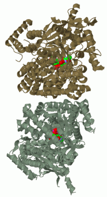 Image Biol.Unit 1 - manually