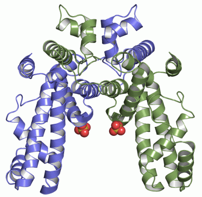 Image Asym./Biol. Unit - manually