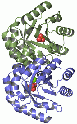 Image Asym.Unit - manually