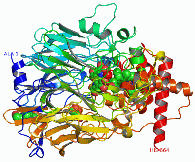 Image Asym./Biol. Unit - manually