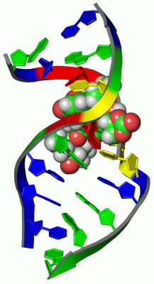 Image NMR Structure - manually