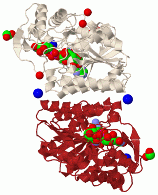 Image Biol.Unit 1 - manually