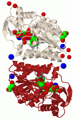 Image Biol.Unit 1 - manually