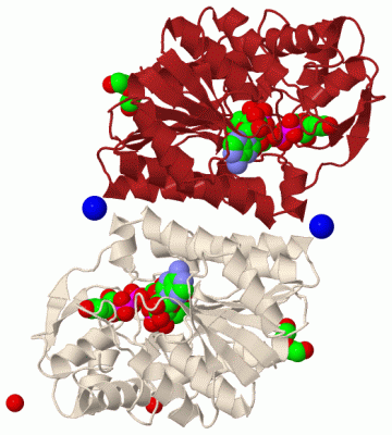 Image Biol.Unit 1 - manually