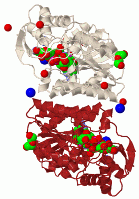 Image Biol.Unit 1 - manually