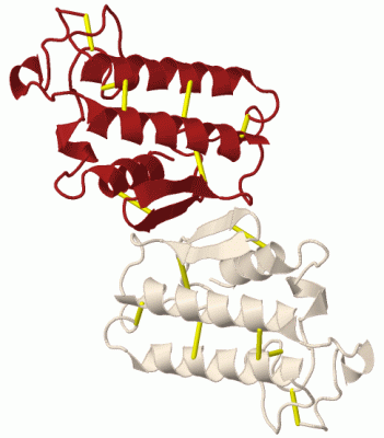 Image Biol.Unit 1 - manually