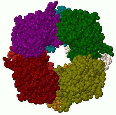 Image Biol.Unit 1 - manually