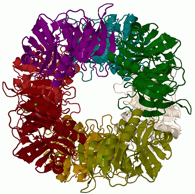 Image Biol.Unit 1 - manually