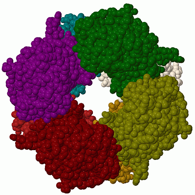 Image Biol.Unit 1 - manually