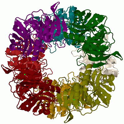 Image Biol.Unit 1 - manually