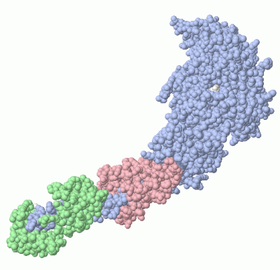 Image Asym./Biol. Unit - manually