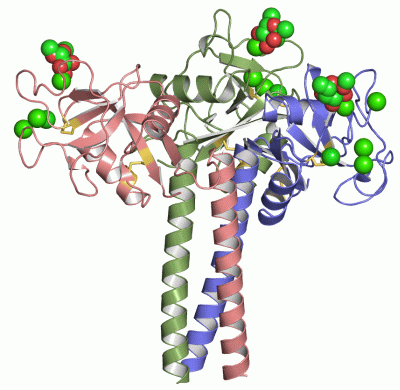 Image Asym./Biol. Unit - manually