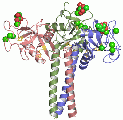 Image Asym./Biol. Unit - manually