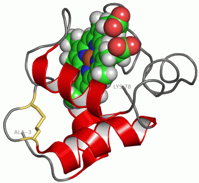 Image NMR Structure - manually