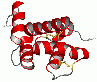 Image Asym./Biol. Unit - manually