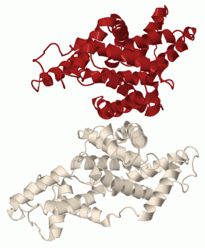 Image Biol.Unit 1 - manually