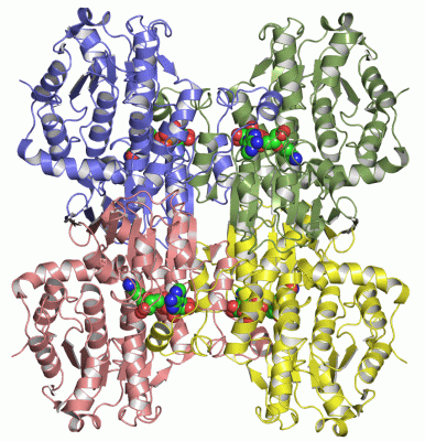 Image Asym./Biol. Unit - manually