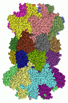 Image Asym./Biol. Unit - manually